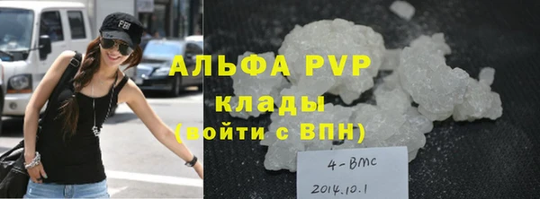 крисы Алзамай