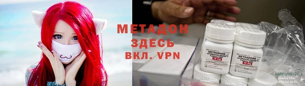 шишки Абаза