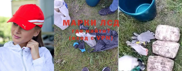 крисы Алзамай