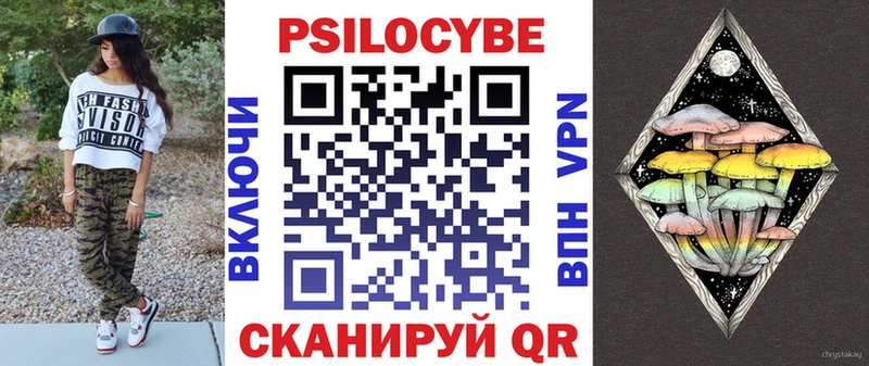 shop какой сайт  где найти   Дятьково  Псилоцибиновые грибы Psilocybe 